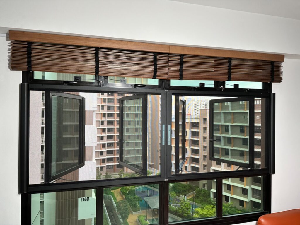 Mosquitoes, Dengue and Your Windows: Mesh as Everyday Prevention