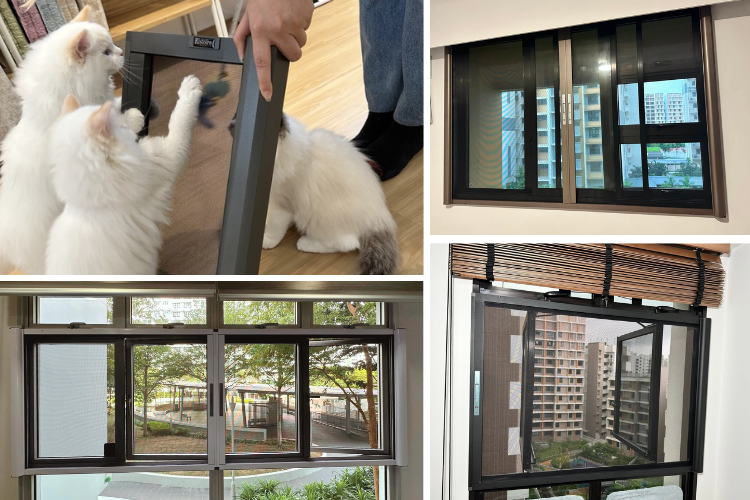 Insect Mesh, Pet-Friendly Mesh or 2-in-1 Meshblind: Which Should You Choose?